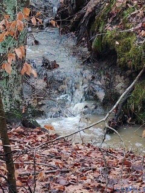 Tiny photo for 8598 W Courthouse Road Rd, Nottoway, VA 23922 (MLS # 2611674)