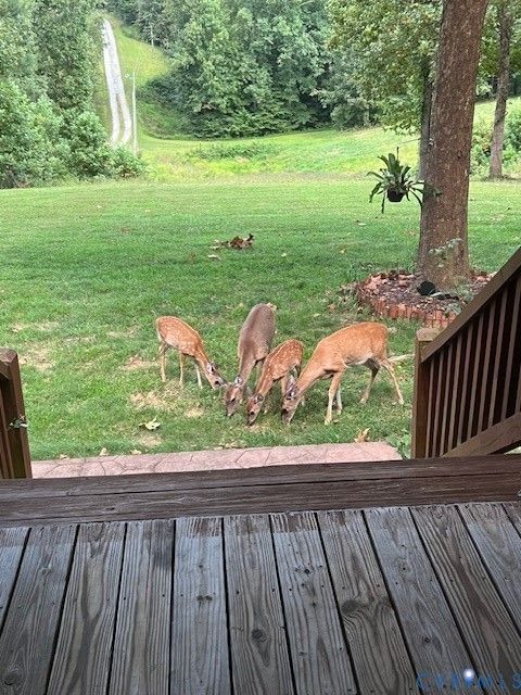 Tiny photo for 8598 W Courthouse Road Rd, Nottoway, VA 23922 (MLS # 2611674)