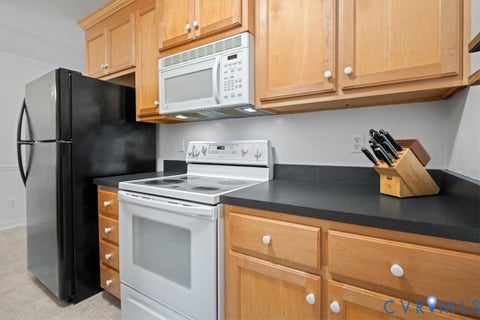 Tiny photo for 10209 Francill Court, North Chesterfield, VA 23236 (MLS # 2627906)