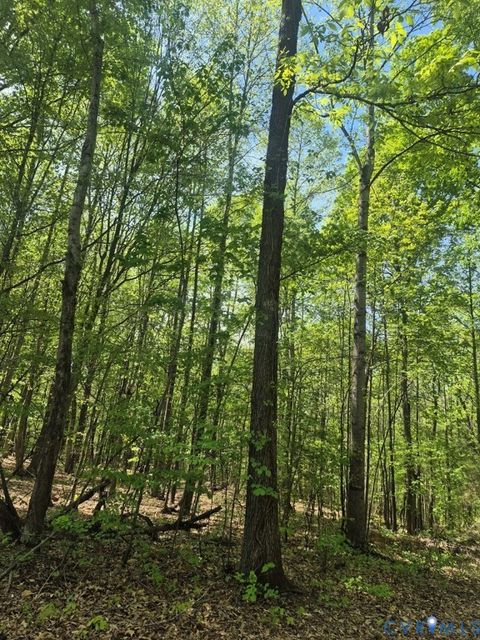 Tiny photo for 00 Greenfield Drive, Nelson, VA 24553 (MLS # 2609841)