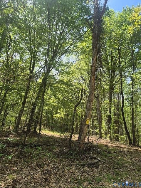 Tiny photo for 00 Greenfield Drive, Nelson, VA 24553 (MLS # 2609841)