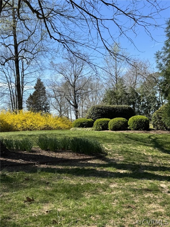 317 Coles Point Road