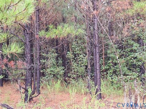 Tiny photo for 0 Sussex Drive, Stony Creek, VA 23882 (MLS # 2527266)