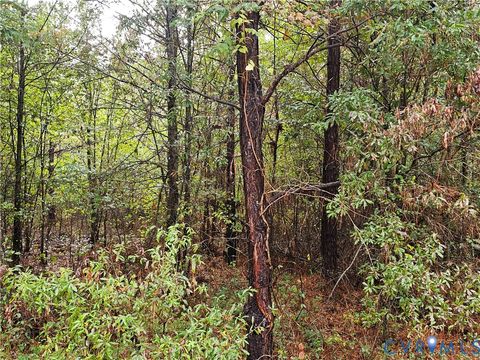 Tiny photo for 0 Sussex Drive, Stony Creek, VA 23882 (MLS # 2527266)