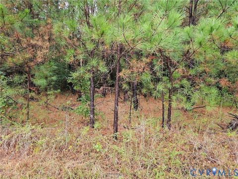 Tiny photo for 0 Sussex Drive, Stony Creek, VA 23882 (MLS # 2527266)
