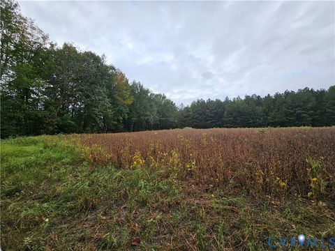 Tiny photo for 0 Sussex Drive, Stony Creek, VA 23882 (MLS # 2527266)