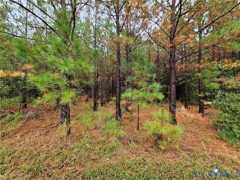 Tiny photo for 0 Sussex Drive, Stony Creek, VA 23882 (MLS # 2527266)