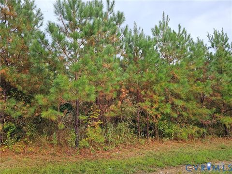 Tiny photo for 0 Sussex Drive, Stony Creek, VA 23882 (MLS # 2527266)