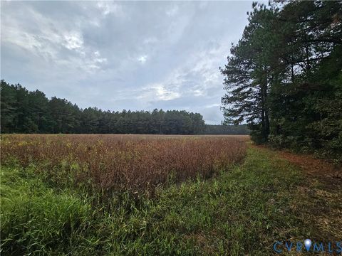 Tiny photo for 0 Sussex Drive, Stony Creek, VA 23882 (MLS # 2527266)