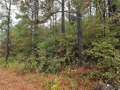 Tiny photo for 0 Sussex Drive, Stony Creek, VA 23882 (MLS # 2527266)