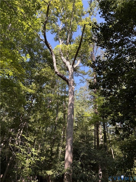 Tiny photo for 4844 Fox Lair Road, Gum Spring, VA 23065 (MLS # 2627744)