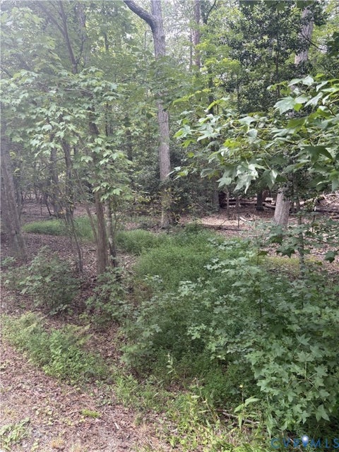 Tiny photo for 4844 Fox Lair Road, Gum Spring, VA 23065 (MLS # 2627744)