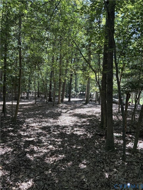 Photo of 4844 Fox Lair Road, Gum Spring, VA 23065 (MLS # 2627744)
