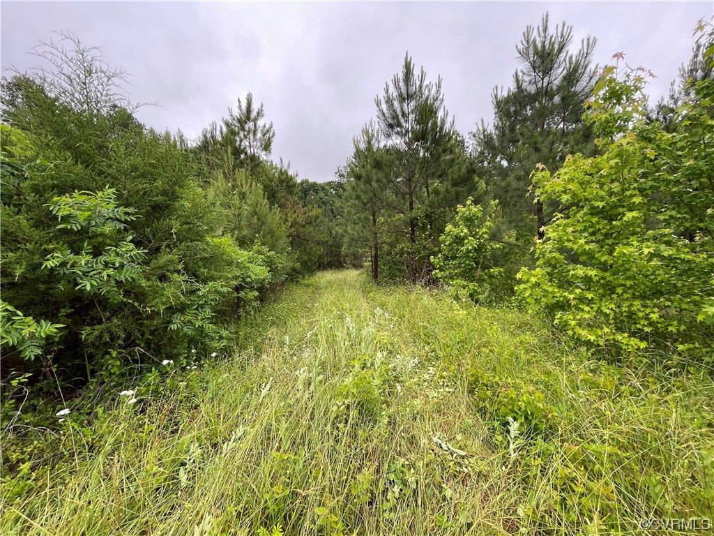 Photo for 6101 Richmond Road, Amelia, VA 23002 (MLS # 2312836)