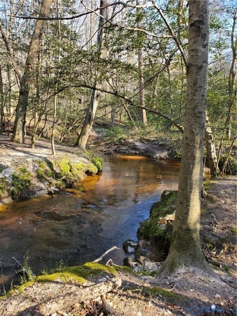Tiny photo for 17237 Ivory Bill Lane, Chesterfield, VA 23838 (MLS # 2515044)