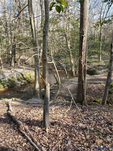 Tiny photo for 17237 Ivory Bill Lane, Chesterfield, VA 23838 (MLS # 2515044)