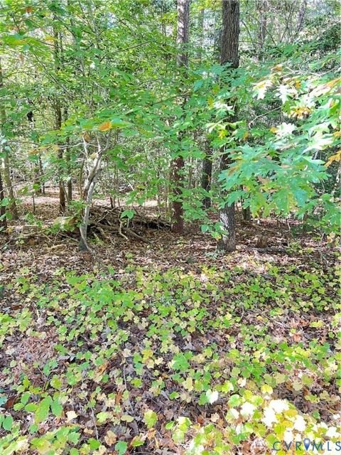 Photo of 0 Country Club Lane, Ruther Glen, VA 22546 (MLS # 2601659)