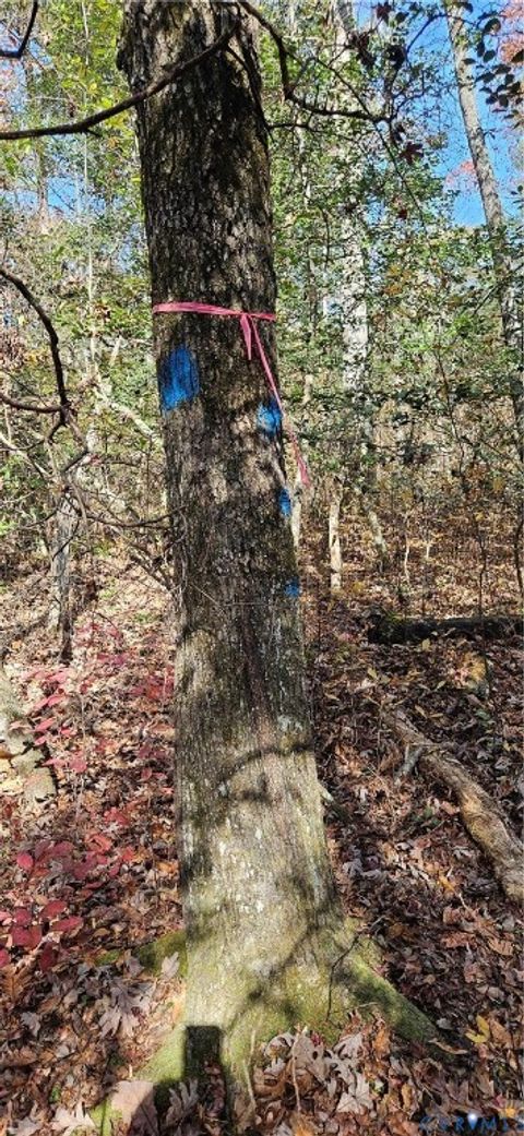 Tiny photo for 1 White House Lane, Center Cross, VA 22437 (MLS # 2530573)