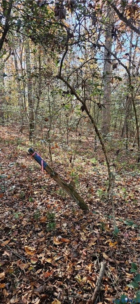 Tiny photo for 1 White House Lane, Center Cross, VA 22437 (MLS # 2530573)