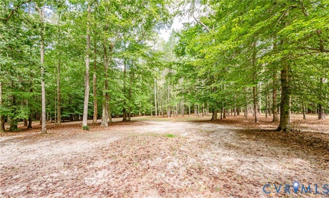 Tiny photo for 8700 Historical Path Road, New Kent, VA 23124 (MLS # 2624944)