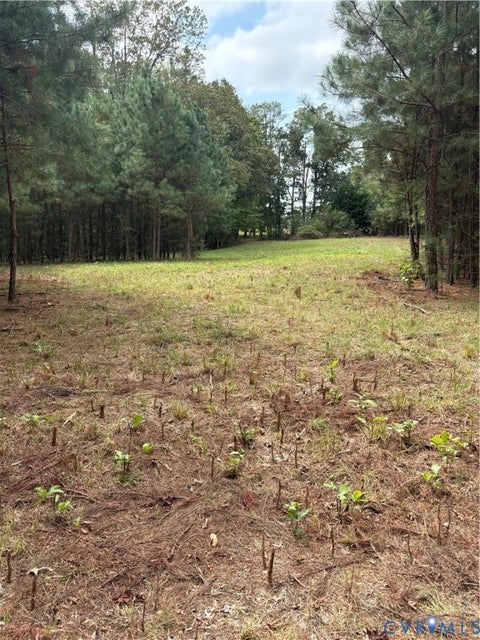 Tiny photo for 0 Howerton Road, Dunnsville, VA 22454 (MLS # 2625866)
