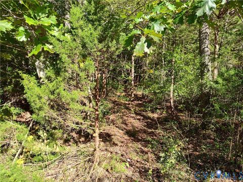 Tiny photo for 6.62 AC Piney Green Road, Crewe, VA 23930 (MLS # 2529848)