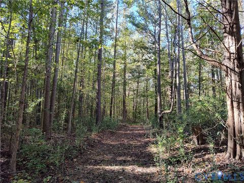 Tiny photo for 6.62 AC Piney Green Road, Crewe, VA 23930 (MLS # 2529848)