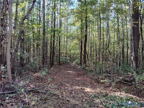 Tiny photo for 6.62 AC Piney Green Road, Crewe, VA 23930 (MLS # 2529848)