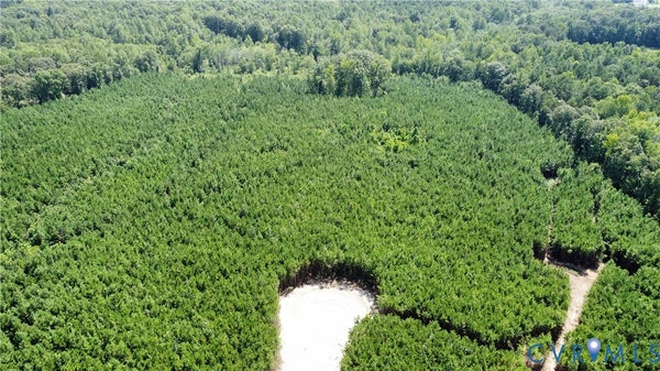 17464 ROCKY FORD RD, BEAVERDAM, VA 23015 - Image ec4ef9cf1655eec9be4cc8fc1cfb5b8b/3694395287