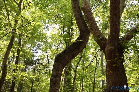 Tiny photo for 0 Bellevue Road, Halifax, VA 24588 (MLS # 2526138)