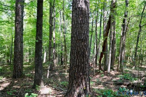 Tiny photo for 0 Bellevue Road, Halifax, VA 24588 (MLS # 2526138)