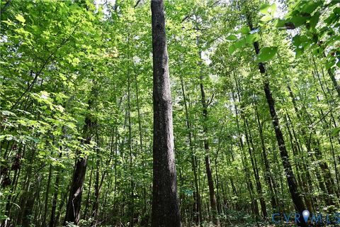 Photo of 0 Bellevue Road, Halifax, VA 24588 (MLS # 2526138)
