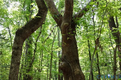 Tiny photo for 0 Bellevue Road, Halifax, VA 24588 (MLS # 2526138)