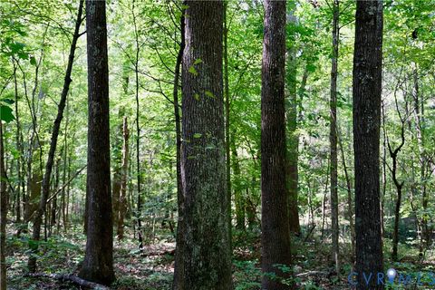 Tiny photo for 0 Bellevue Road, Halifax, VA 24588 (MLS # 2526138)