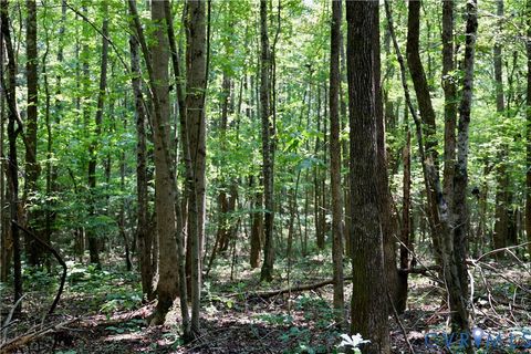 Tiny photo for 0 Bellevue Road, Halifax, VA 24588 (MLS # 2526138)
