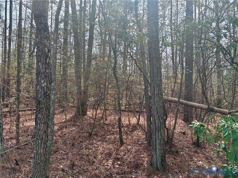Photo of 15000 Bradley Bridge Road, Chesterfield, VA 23838 (MLS # 2607122)