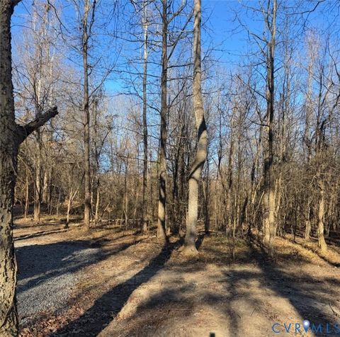 Tiny photo for 16374 Saint Peters Church Rd, Montpelier, VA 23192 (MLS # 2533357)