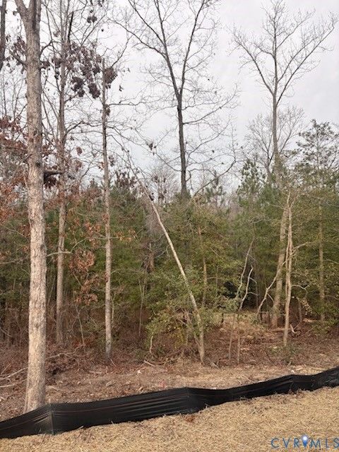 Tiny photo for 2219 Silver Street, Aylett, VA 23009 (MLS # 2533481)