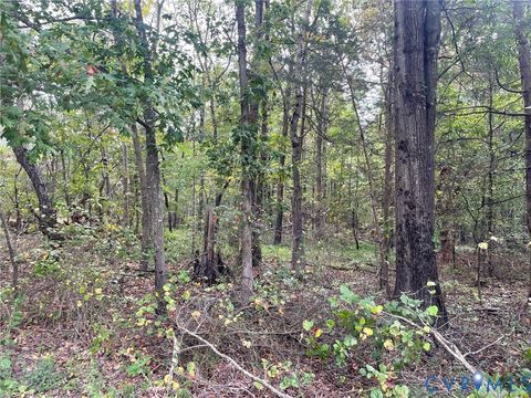 Tiny photo for 18001 Narrow Path Trail, Doswell, VA 23015 (MLS # 2527030)