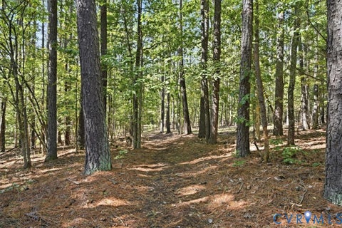 Tiny photo for 11401 Pinhook Road, Rockville, VA 23146 (MLS # 2628005)