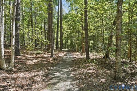 Tiny photo for 11401 Pinhook Road, Rockville, VA 23146 (MLS # 2628005)