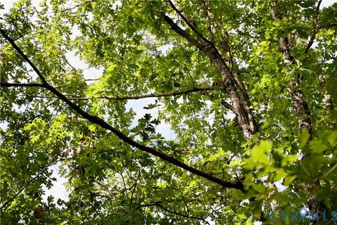 Tiny photo for 0 Crymes Road, Meherrin, VA 23954 (MLS # 2527295)