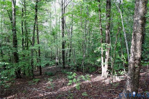 Tiny photo for 0 Crymes Road, Meherrin, VA 23954 (MLS # 2527295)