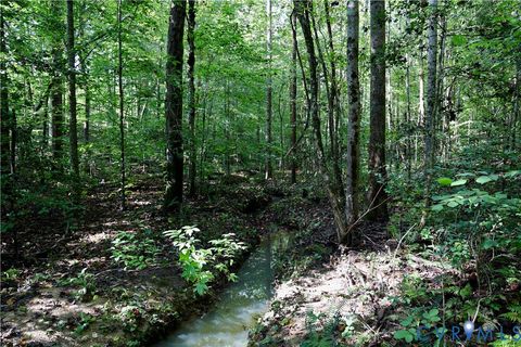 Tiny photo for 0 Crymes Road, Meherrin, VA 23954 (MLS # 2527295)