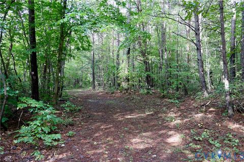 Tiny photo for 0 Crymes Road, Meherrin, VA 23954 (MLS # 2527295)