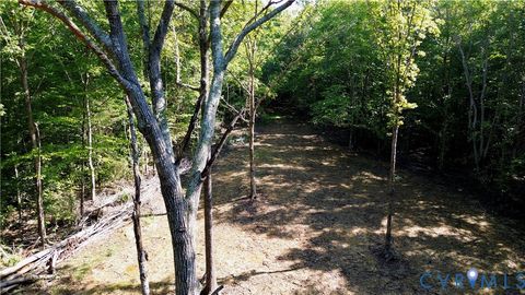 Tiny photo for 0 Crymes Road, Meherrin, VA 23954 (MLS # 2527295)
