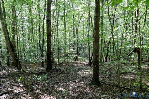 Tiny photo for 0 Crymes Road, Meherrin, VA 23954 (MLS # 2527295)