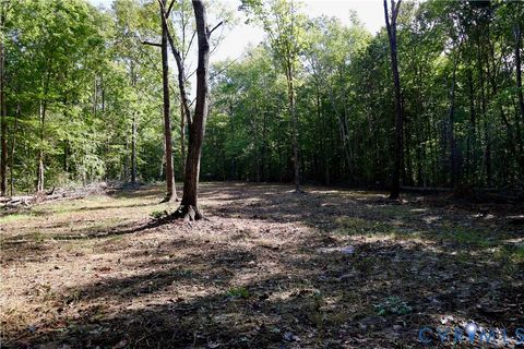 Tiny photo for 0 Crymes Road, Meherrin, VA 23954 (MLS # 2527295)