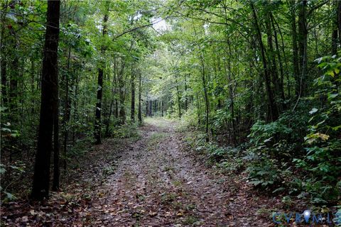 Tiny photo for 0 Crymes Road, Meherrin, VA 23954 (MLS # 2527295)