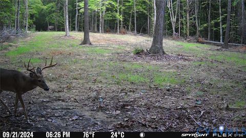 Tiny photo for 0 Crymes Road, Meherrin, VA 23954 (MLS # 2527295)